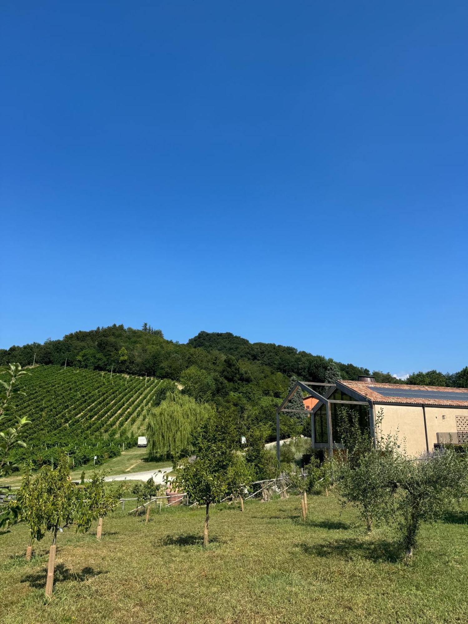 Corte D'Aibo Monteveglio Exteriör bild